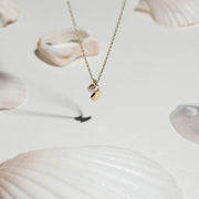 Shell Necklace with Pearl