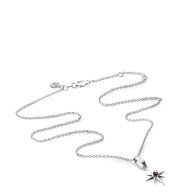 Lucky Star Necklace // Silver