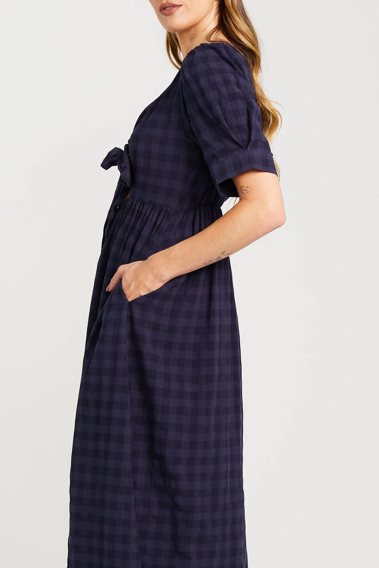 Dazzling Dress // Navy Check